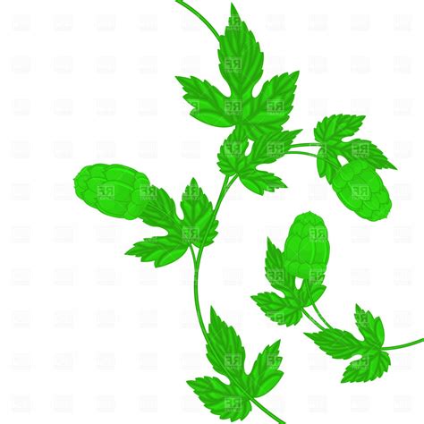 Hop Vector 的图像结果