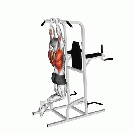 Neutral Grip Pull Up: Benefits, Muscles Worked, and More - Inspire US