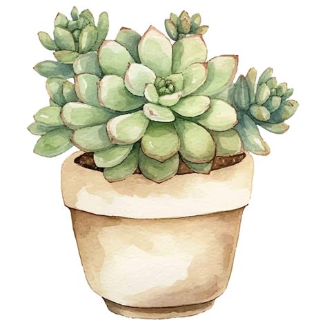 Plants in pot watercolor illustration | Premium AI-generated vector