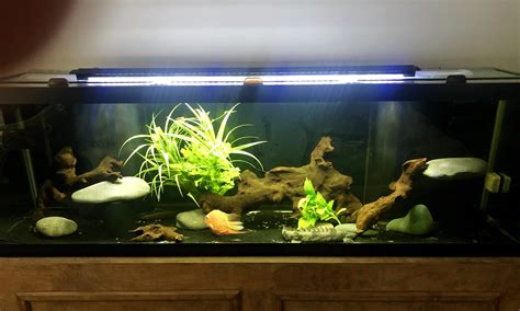 My 125 Gallon : r/Aquariums