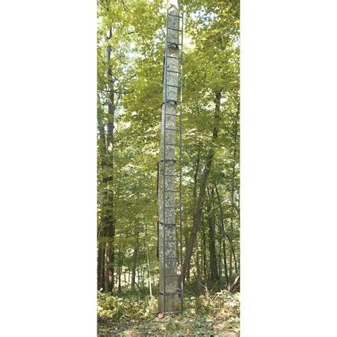Image result for Tree Stand Ladder Sticks