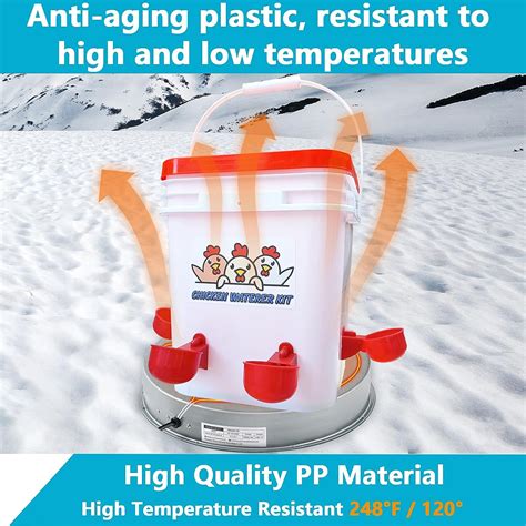 Fluker's Culinary Coop Canned Crickets Chicken Treat Review - Spoiled ...