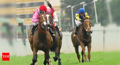 State deptartment halts horse show at race course over glanders fear ...