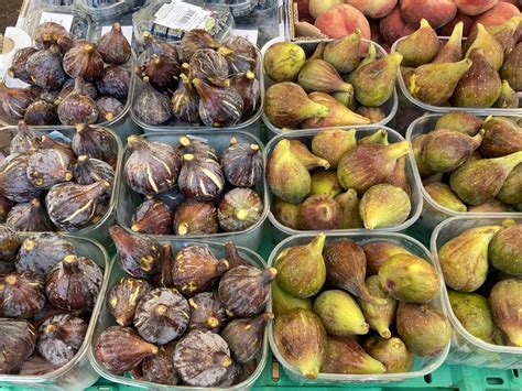 Types Of Figs Fruit