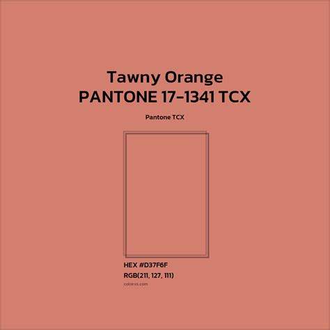 About PANTONE 17-1341 TCX - Tawny Orange Color - Color codes | matching ...