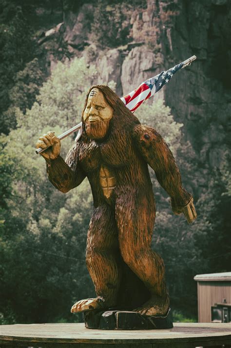 Image result for Bigfoot Found Alive