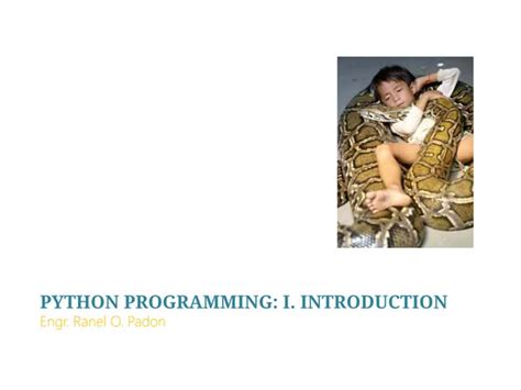 Image result for Introduction to Python Programming Video Thumbnail