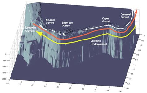 Image result for Subsurface Currents