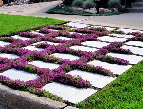 Ground Cover Management at Melissa Lindstrom blog