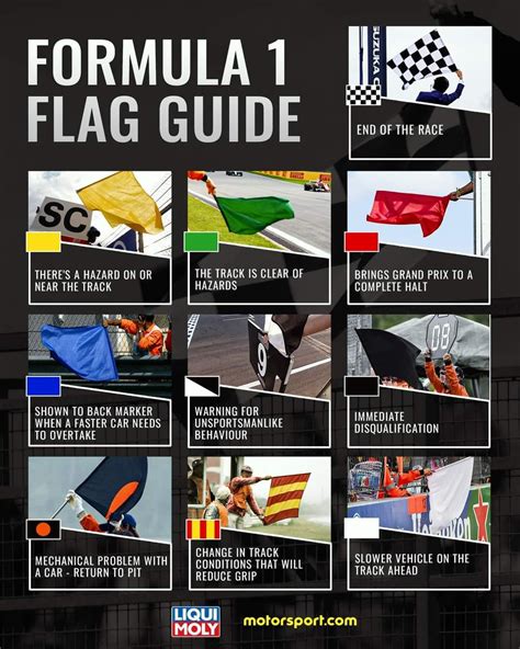 Formula 1 Flag Guide : r/formula1