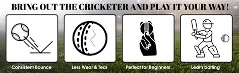 TIMA Leather Cricket Shot Practice Hanging Ball, String Cricket Ball ...