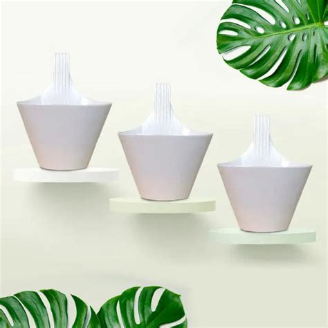 17-Inch Terracotta Rectangular Garden Pot - Pack of 3/5 – Leafy Island