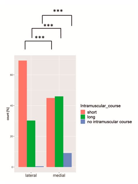 Improving the Safety of DIEP Flap Transplantation: Detailed Perforator ...
