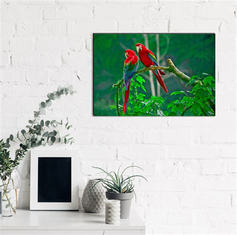 6MM MDF Colorful Parrot Satin Matt Texture UV Art Painting ...