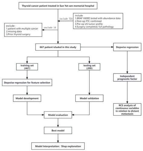 Cancers | Special Issue : Thyroid Cancer: Diagnosis, Prognosis and ...