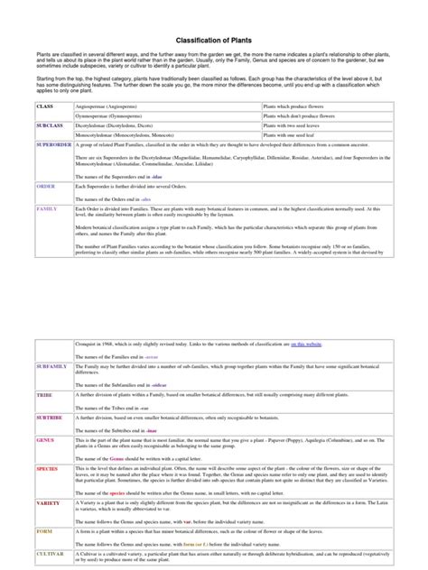 Plant Classifications Explained 的图像结果