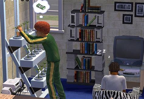 Image result for Sims 2 Game