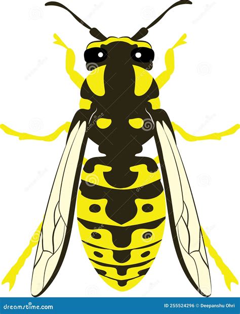 Yellowjacket stock vector. Illustration of bumblebee - 255524296