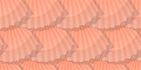 Shell Pattern 的图像结果