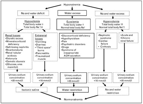 Hyponatremia Algorithm 的图像结果