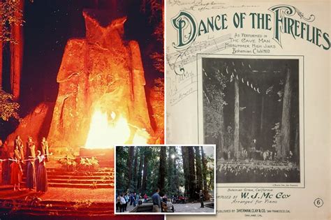 Owl Bohemian Grove