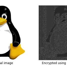Image result for Encrypt a Image Using ECB