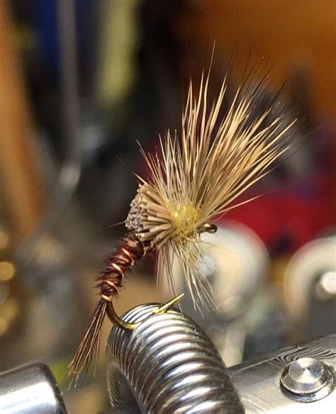 PMD Emerger Fly Pattern 的图像结果