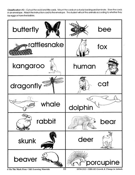 Animals That Lay Eggs Worksheet