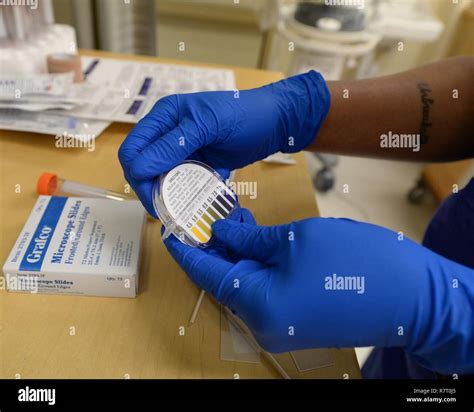 Amniotic Fluid Leak Test