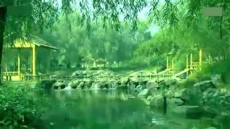 陕西牛背梁自然保护区流水潺潺风景如画_张远