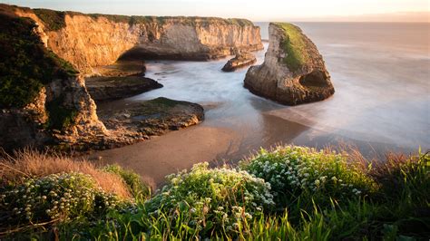 Is Shark Fin Cove Dog Friendly at Chelsea Sommerlad blog