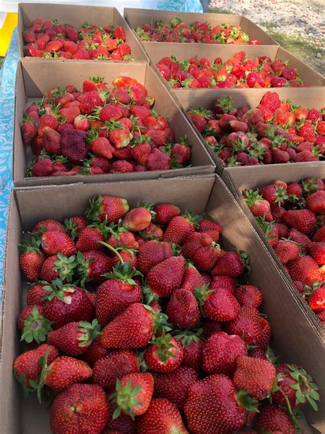 Upcoming Events — Armstrong Artisan Farm