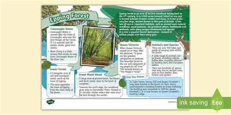 Epping Forest Fact File (teacher made) - Twinkl