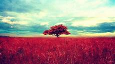 Nature Wallpaper Esthetic by Aesthetic Nature Wallpapers Top Free Aesthetic Nature Nature Wallpaper Esthetic