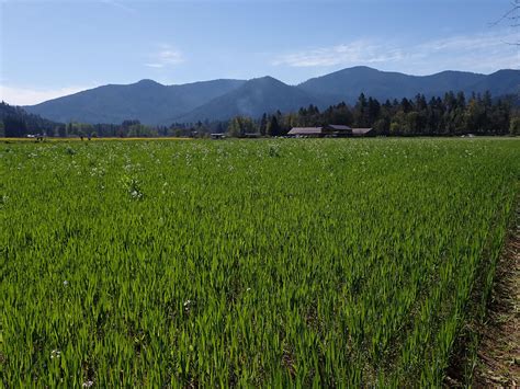 Our Sourcing – Urban Moonshine