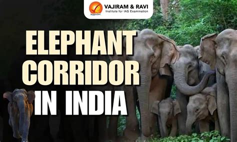 Banking System in India, Types, Structure, Related Concepts