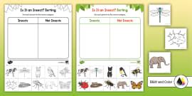 Insect Body Parts | Fill in the Blanks Worksheet
