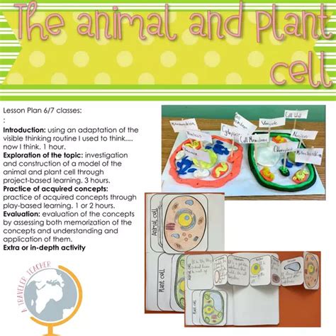 Image result for Plant Cell Lesson
