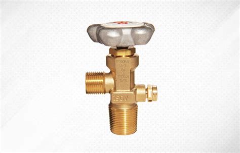 Cylinder Valves | Root Machinery LLP