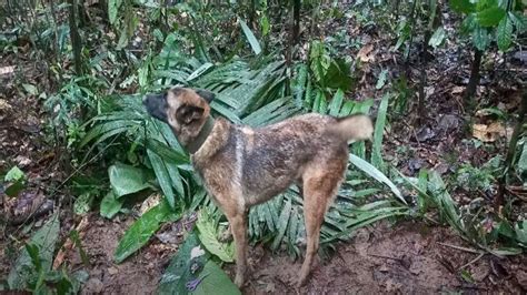 Netflix’s ‘The Lost Children’ Is Missing the Best Detail