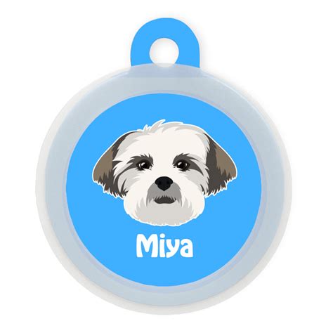 Lhasa Apso – Taggie Pet Store