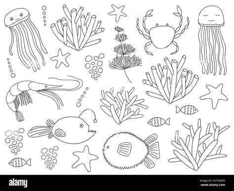 Big sea animals set Stock Vector Image & Art - Alamy