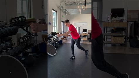 Image result for Contralateral Rows