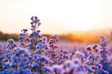 JP Holley Funeral Home and Crematory