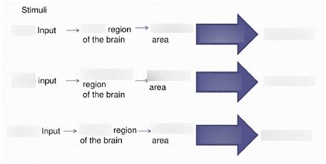 How Information Is Processed in a Computer 的图像结果