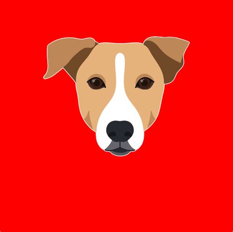 Indie Breed – Taggie Pet Store