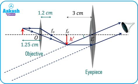 Image result for Microscope Magnification