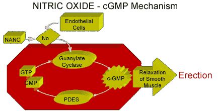 Diabetes India - Oral Agents