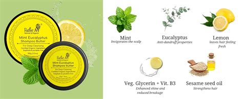 Buy Rustic Art Mint Eucalyptus Shampoo Concentrate | Deep Cleansing ...