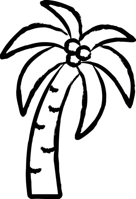 Image result for Simple Color Vector Drawing Palm Tree